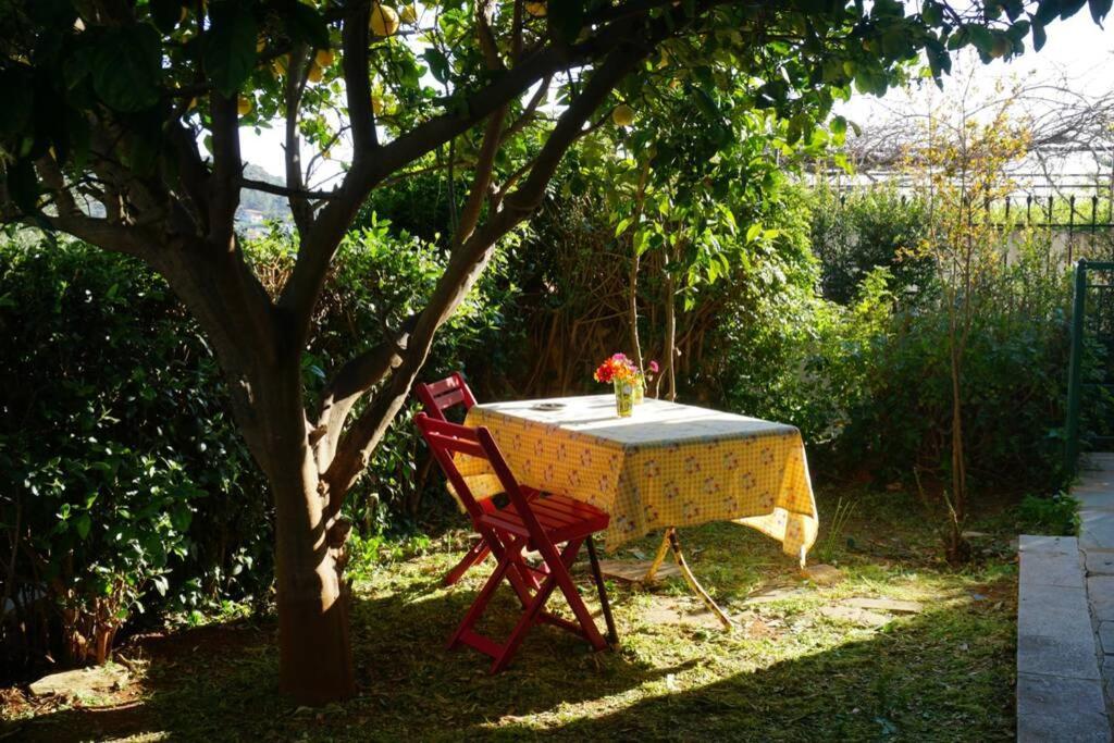 Cosy Guest House With Private Yard Saronida Exterior photo